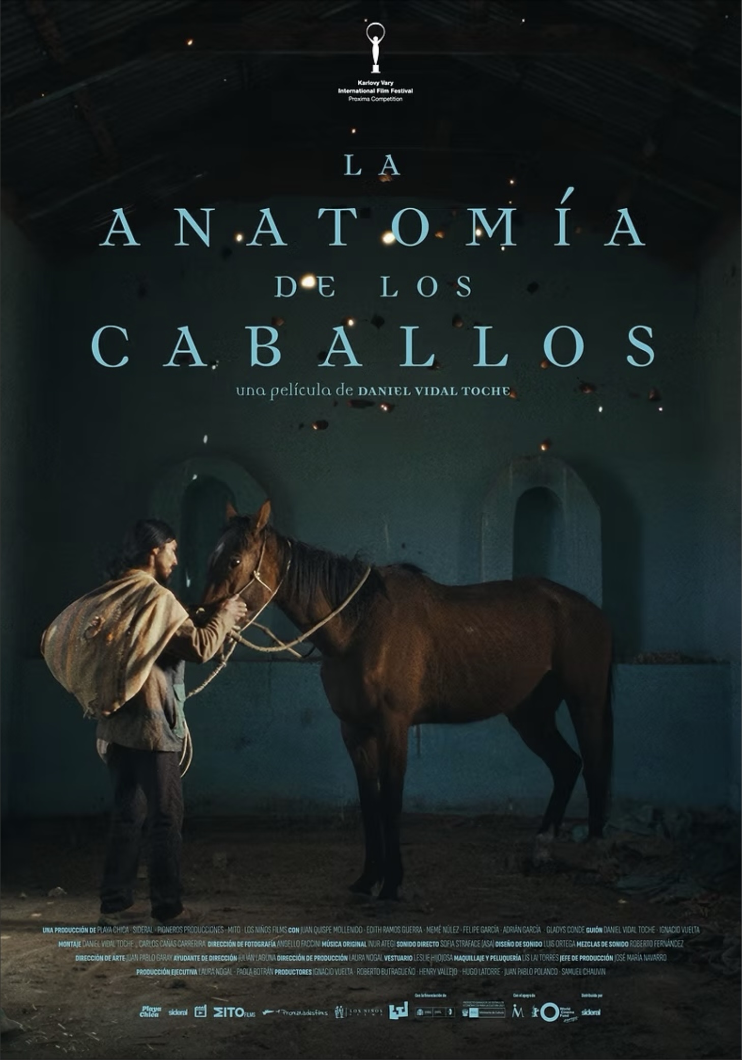 LA ANATOMÍA DE LOS CABALLOS
